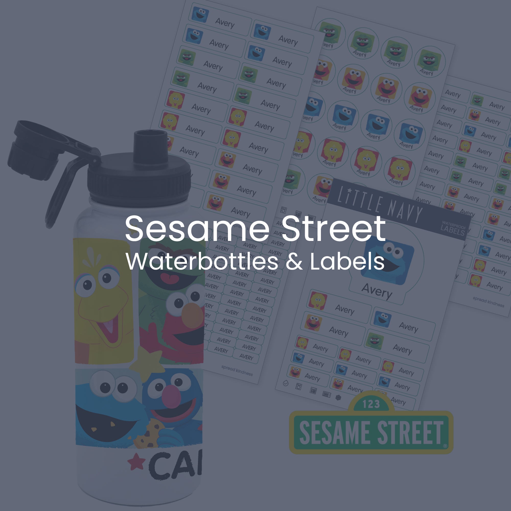 Sesame Street Waterproof Labels & Bottles