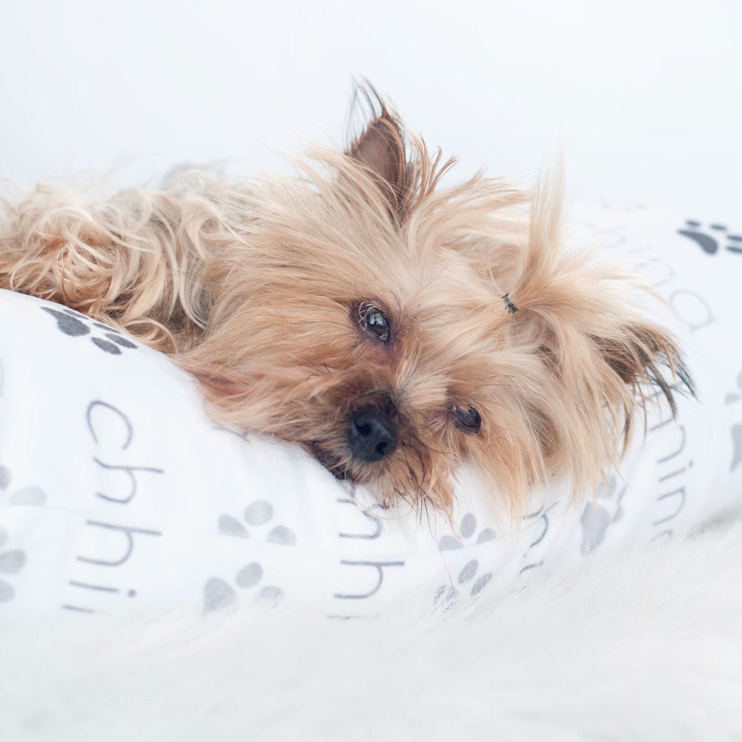 Personalized Pet Pillow