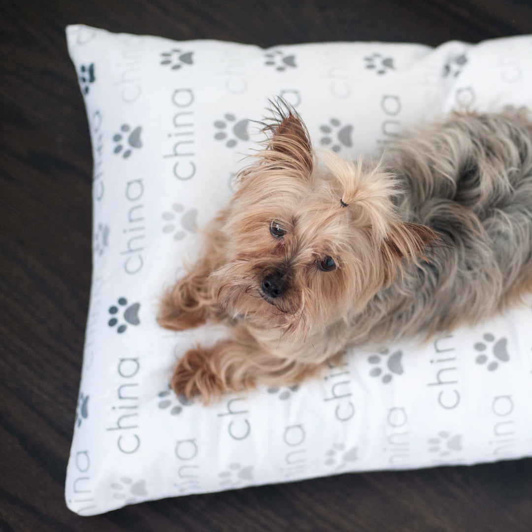 Personalized Pet Pillow