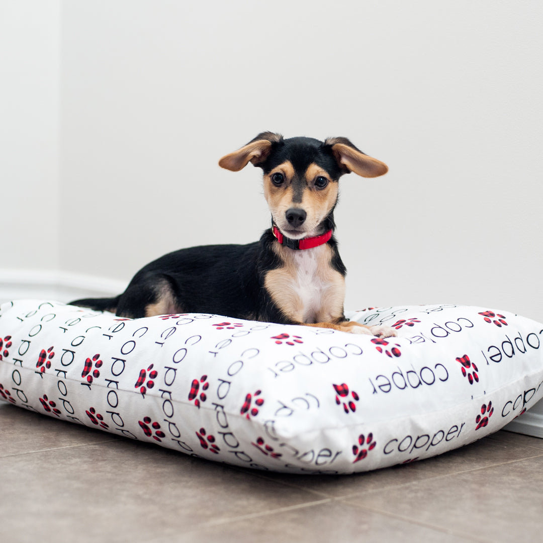 Personalized Pet Pillow