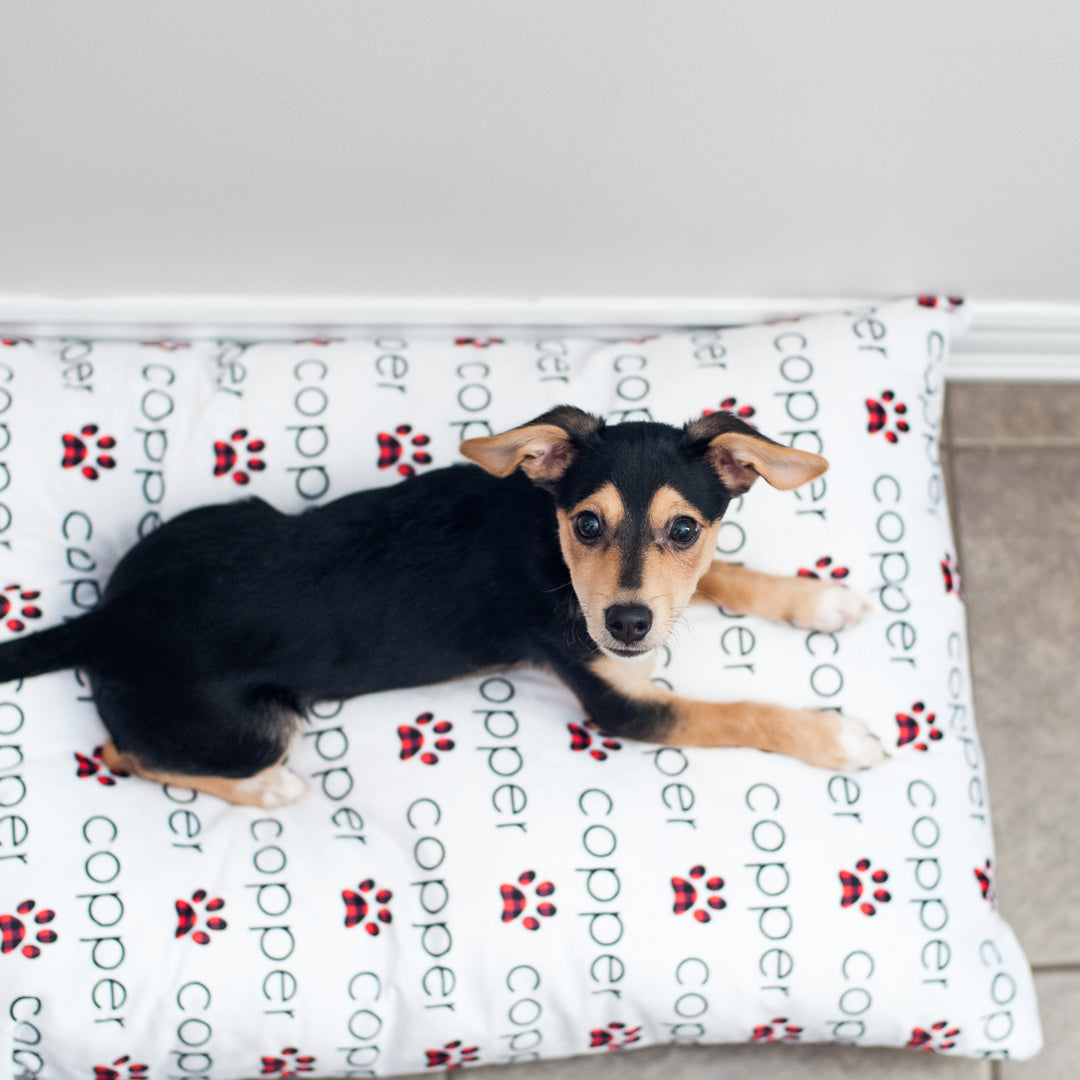 Personalized Pet Pillow