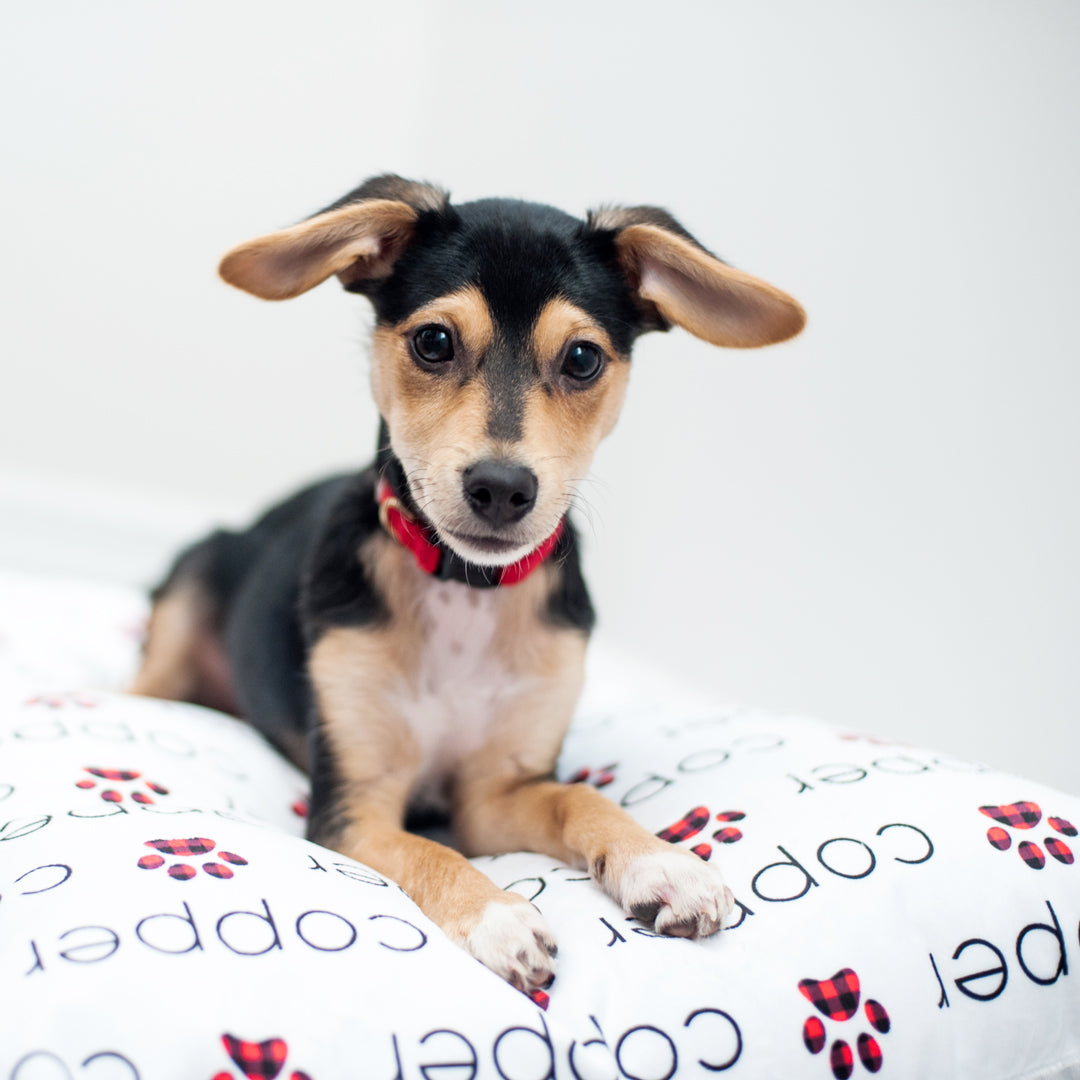 Personalized Pet Pillow