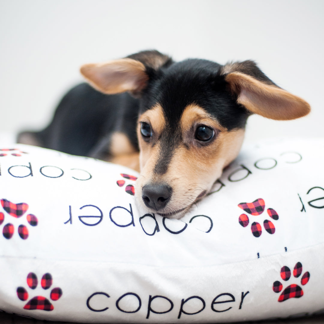 Personalized Pet Pillow