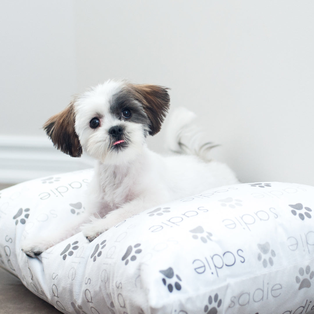 Personalized Pet Pillow