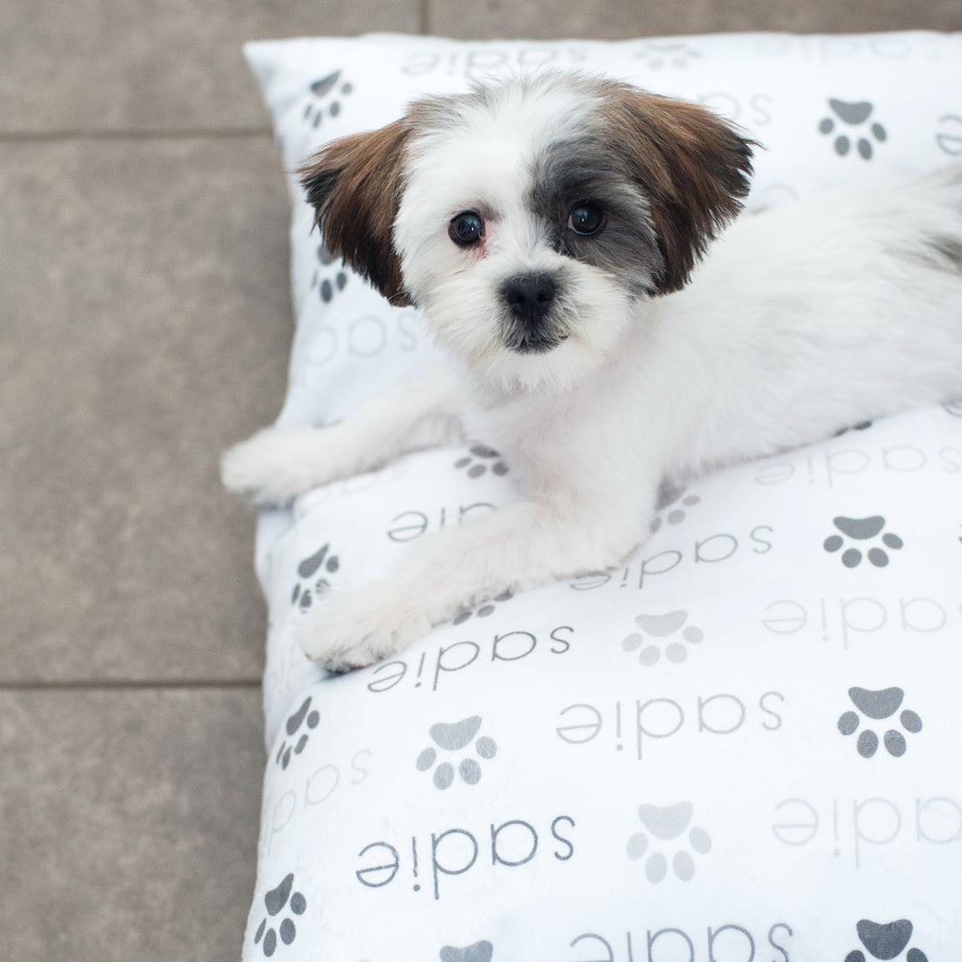 Personalized Pet Pillow